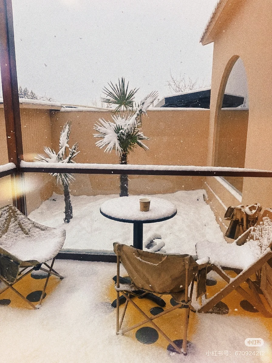 全网都在问：济南初雪去哪看？答案我放这了！