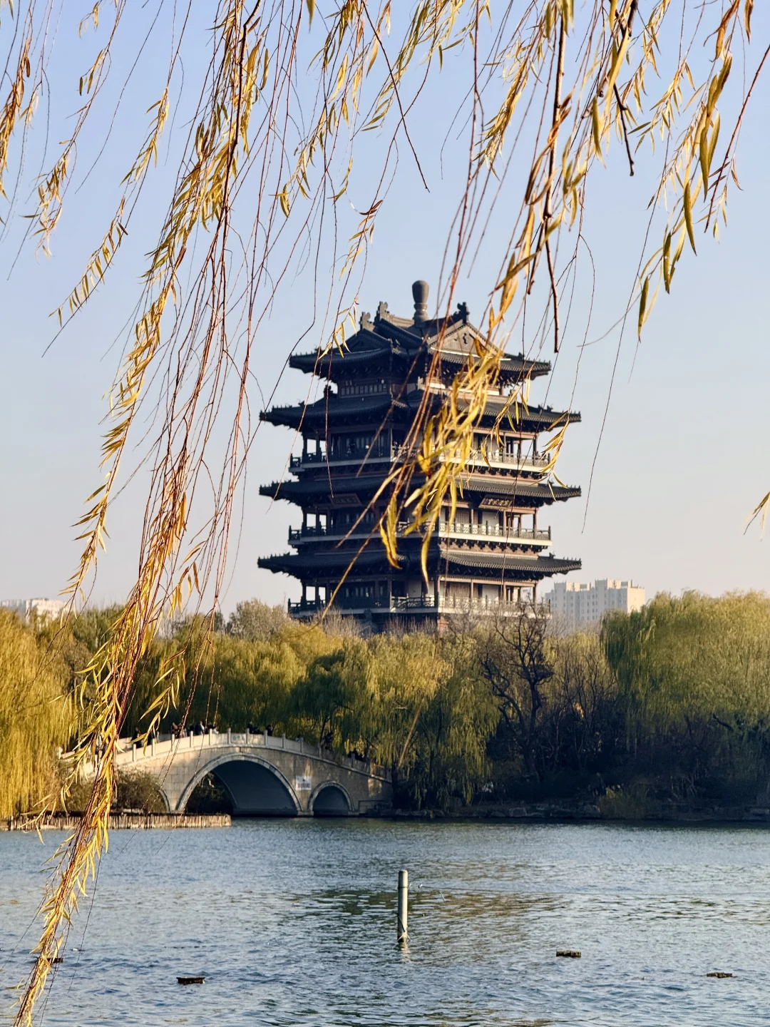 泉城翡翠般的冬天胜似春天