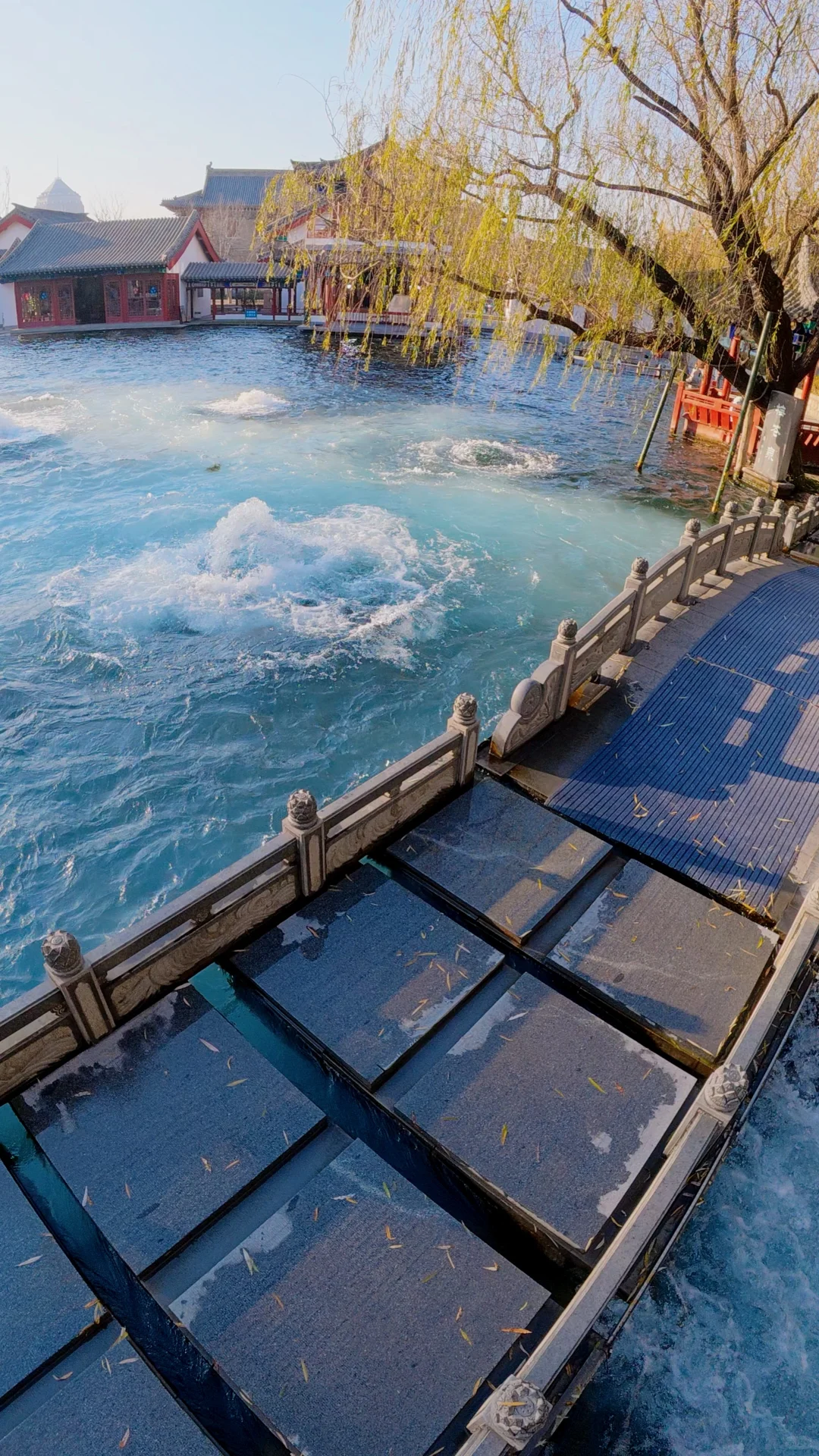 Live图才懂的震撼｜济南的泉水太澎湃了❗️