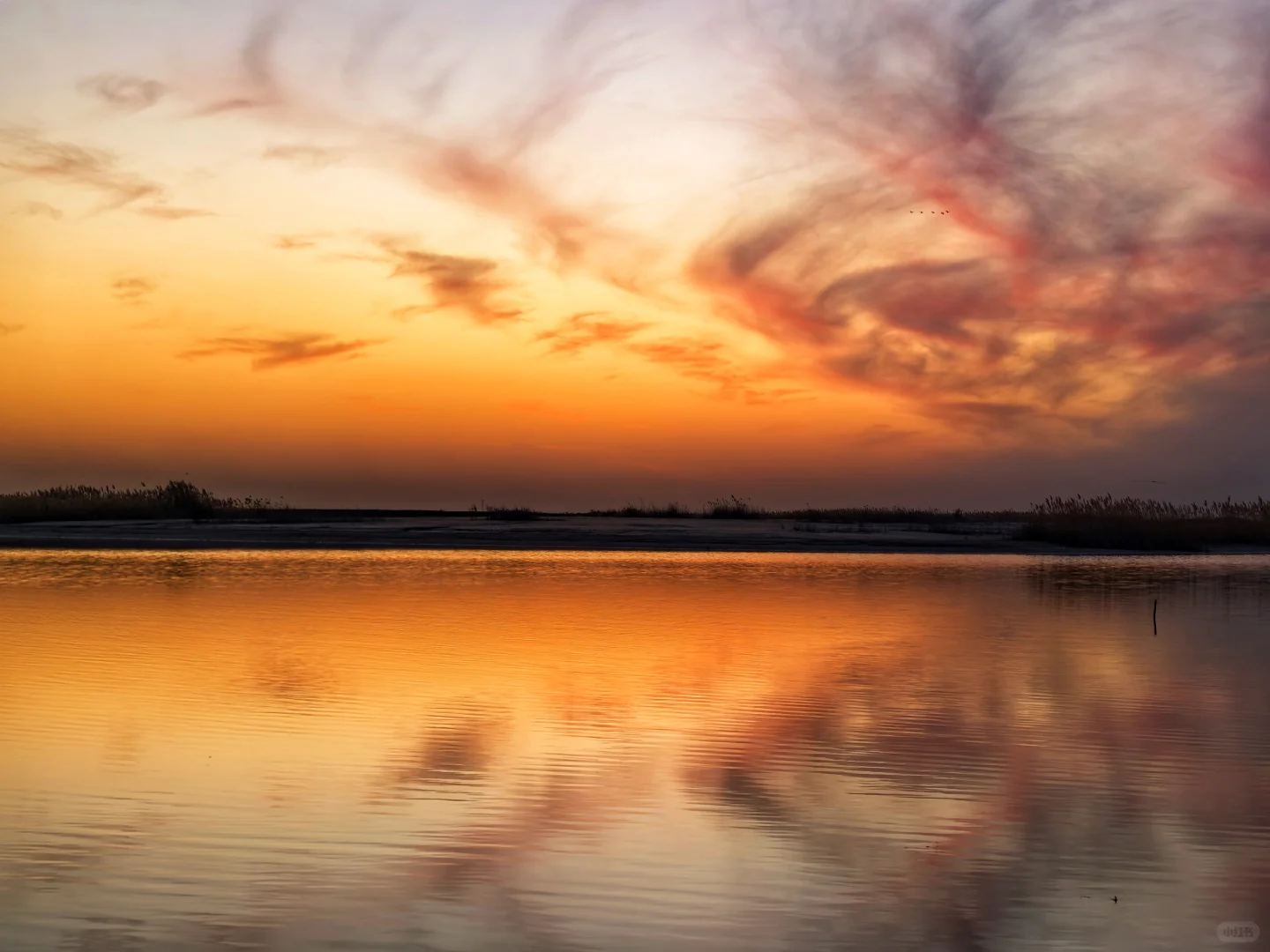 济南出发大美东营仿佛走进国家地理杂志封面