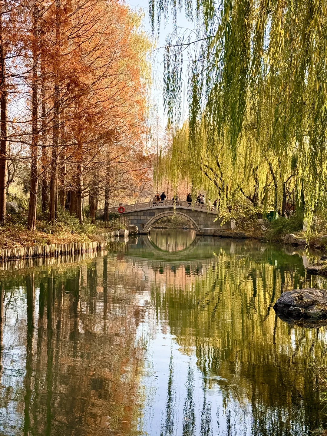 泉城翡翠般的冬天胜似春天