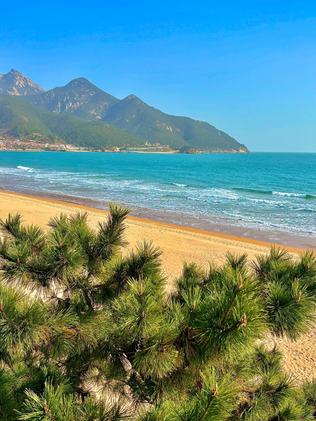 青岛最好的地方都是免费的。。。。🌊