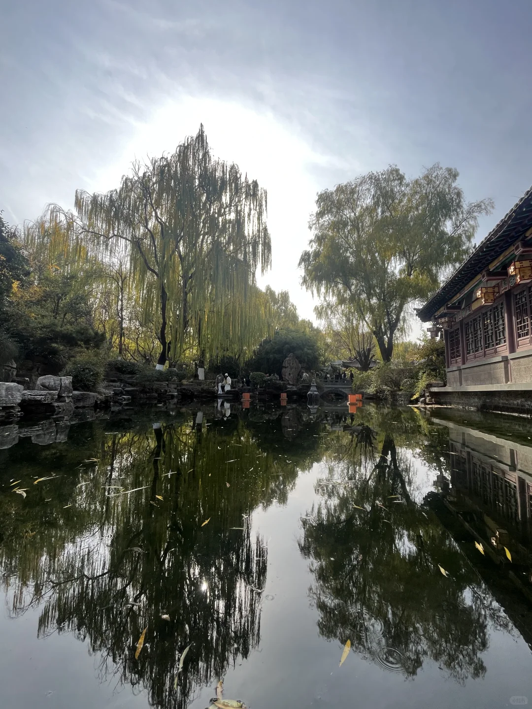 济南之行 喜欢济南这时候的垂柳