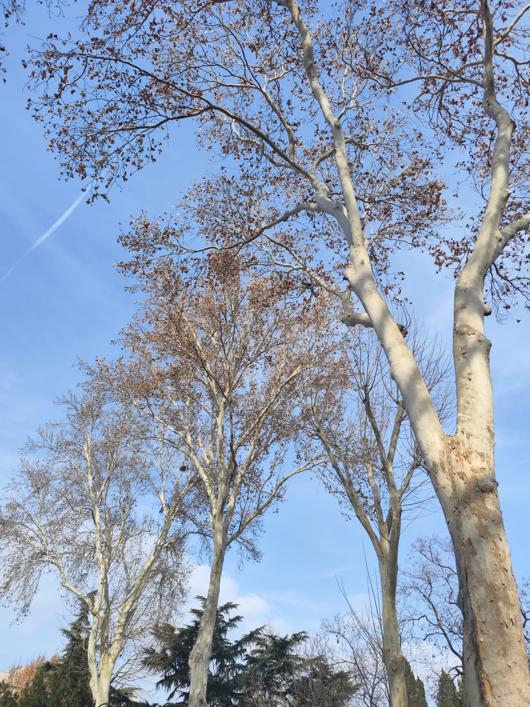 济南｜再见啦，这个逢人就喊老师的城市