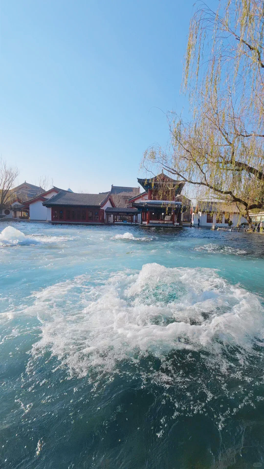 Live图才懂的震撼｜济南的泉水太澎湃了❗️