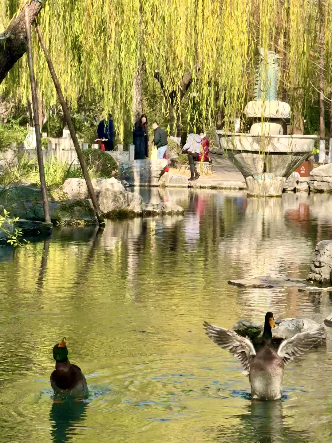 泉城翡翠般的冬天胜似春天