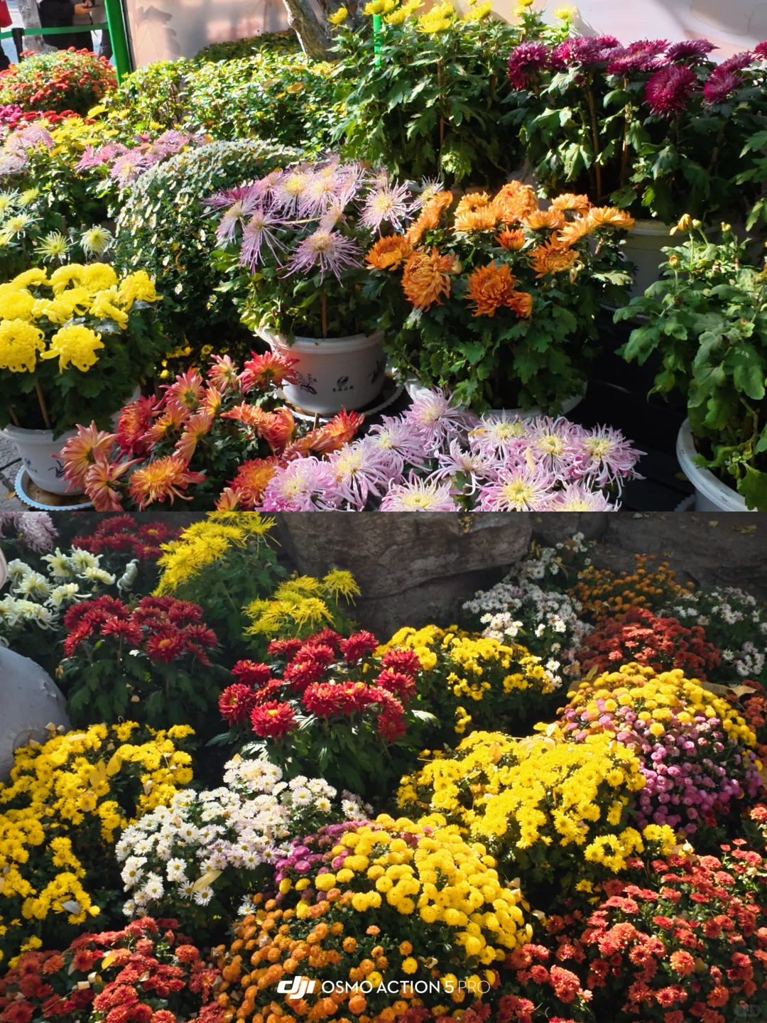 济南两日怎么玩👣👣