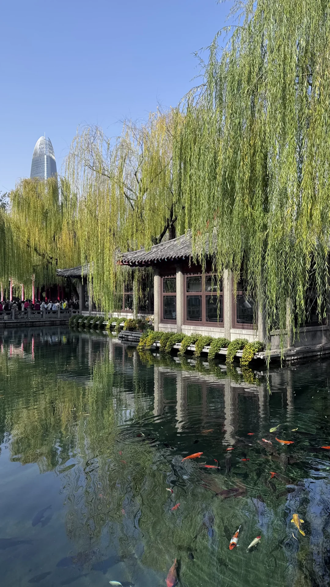 广东人被济南的初冬震撼(实况