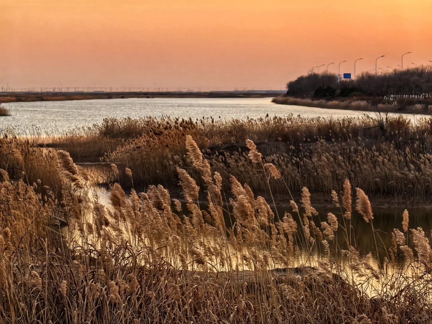 济南出发大美东营仿佛走进国家地理杂志封面