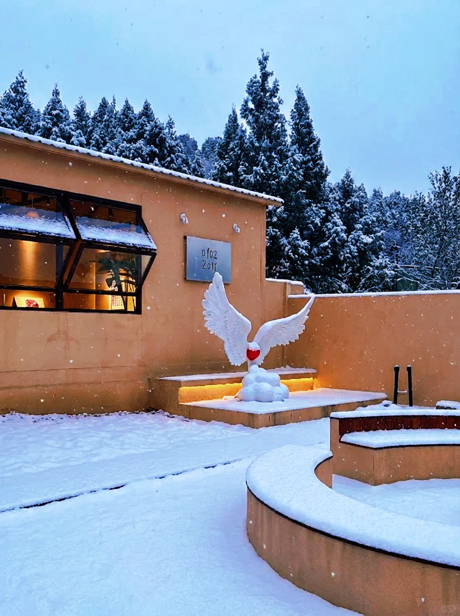 全网都在问：济南初雪去哪看？答案我放这了！