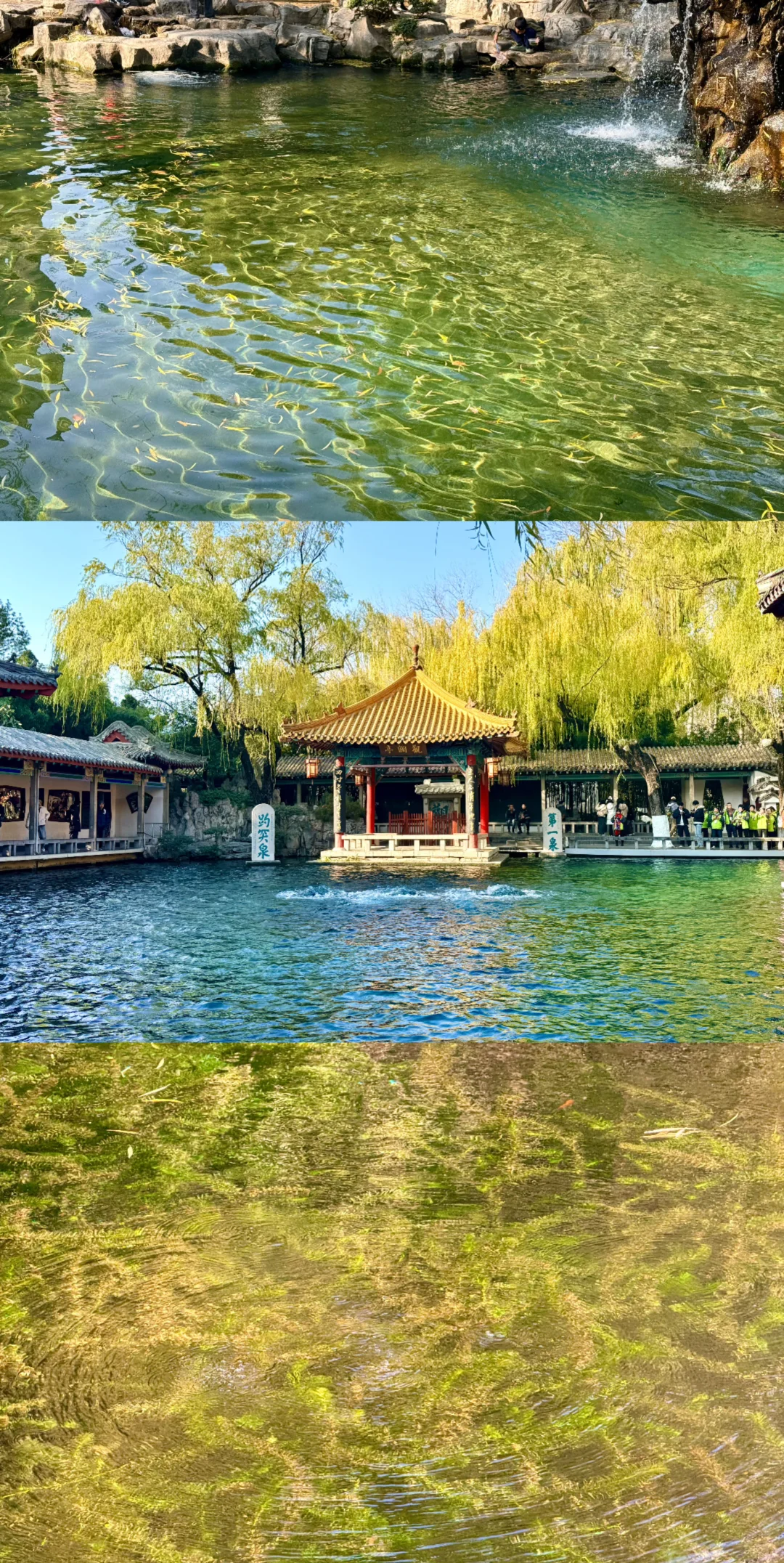 泉城翡翠般的冬天胜似春天