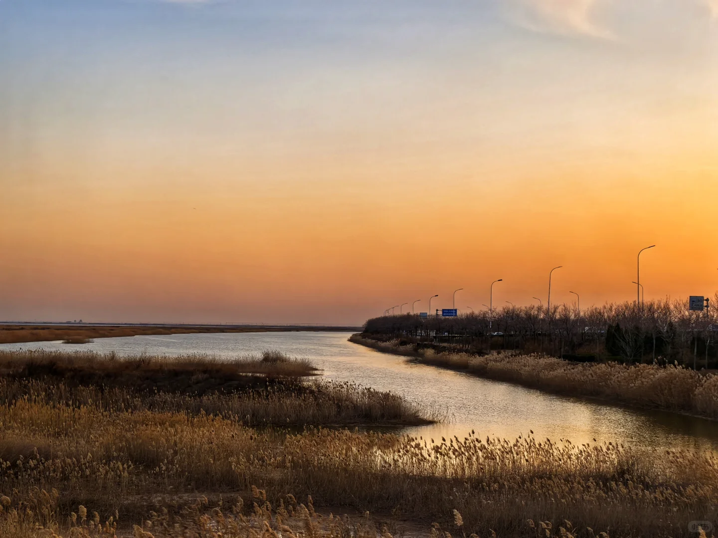 济南出发大美东营仿佛走进国家地理杂志封面