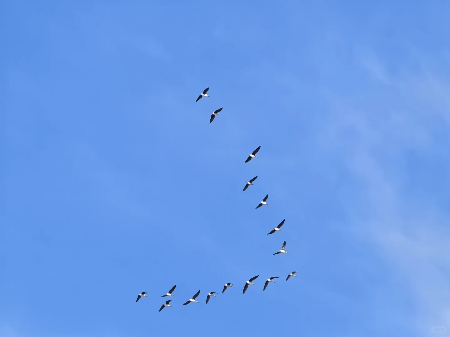 济南出发大美东营仿佛走进国家地理杂志封面