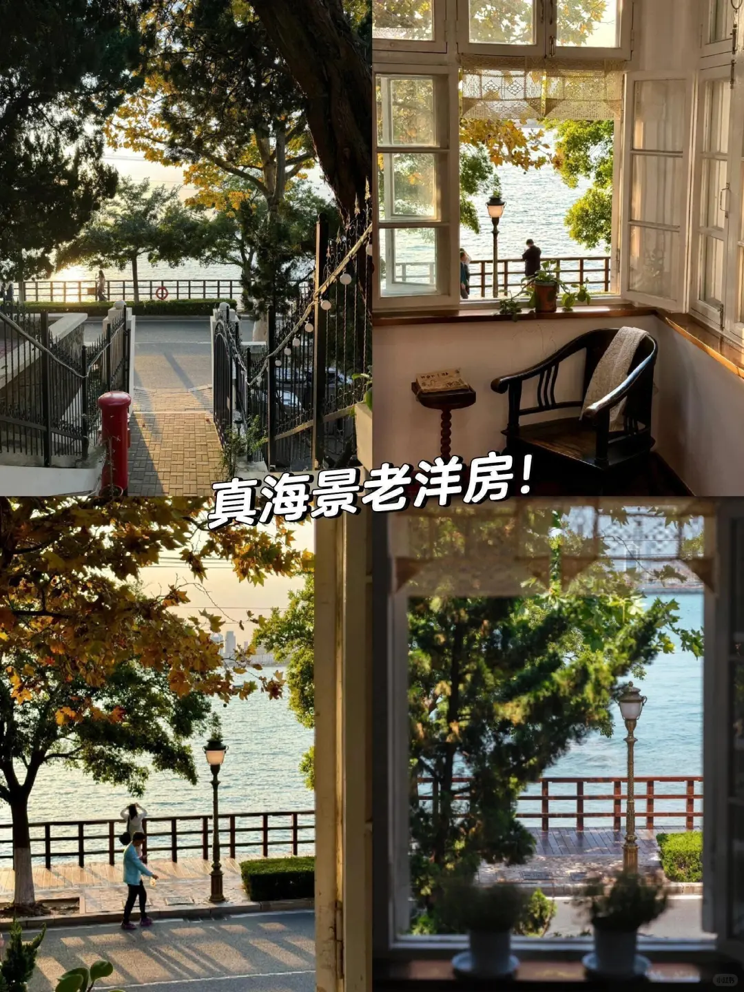 来青岛住我家吧！128俩人😭（10.23后空）