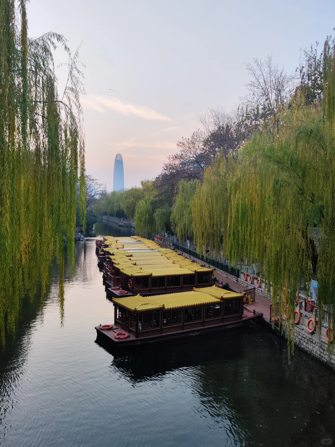 济南｜再见啦，这个逢人就喊老师的城市