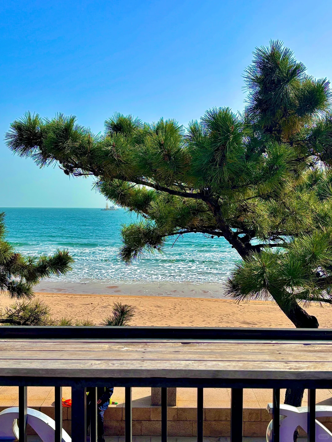 青岛最好的地方都是免费的。。。。🌊