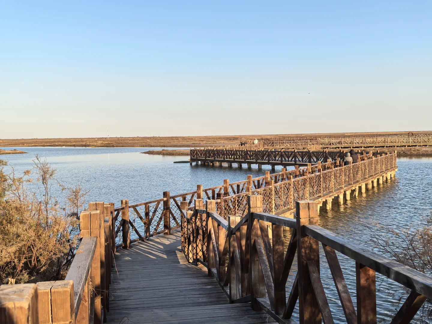 济南出发大美东营仿佛走进国家地理杂志封面