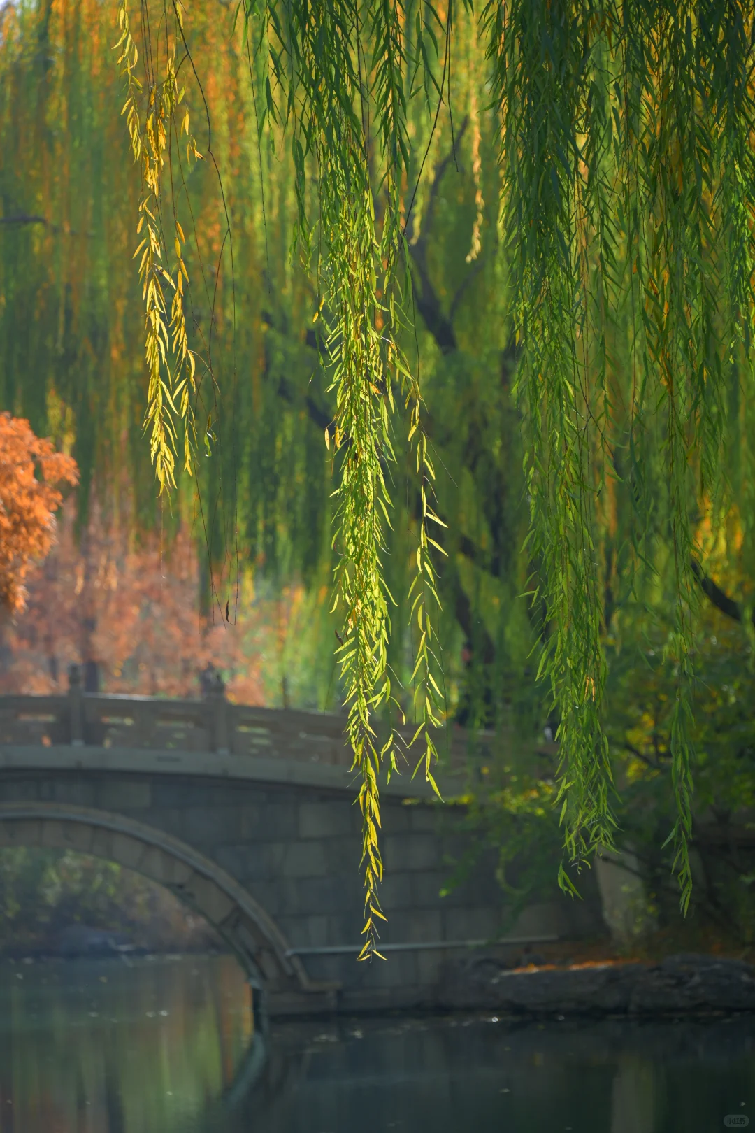 我是饱和度战士之济南大明湖四象限