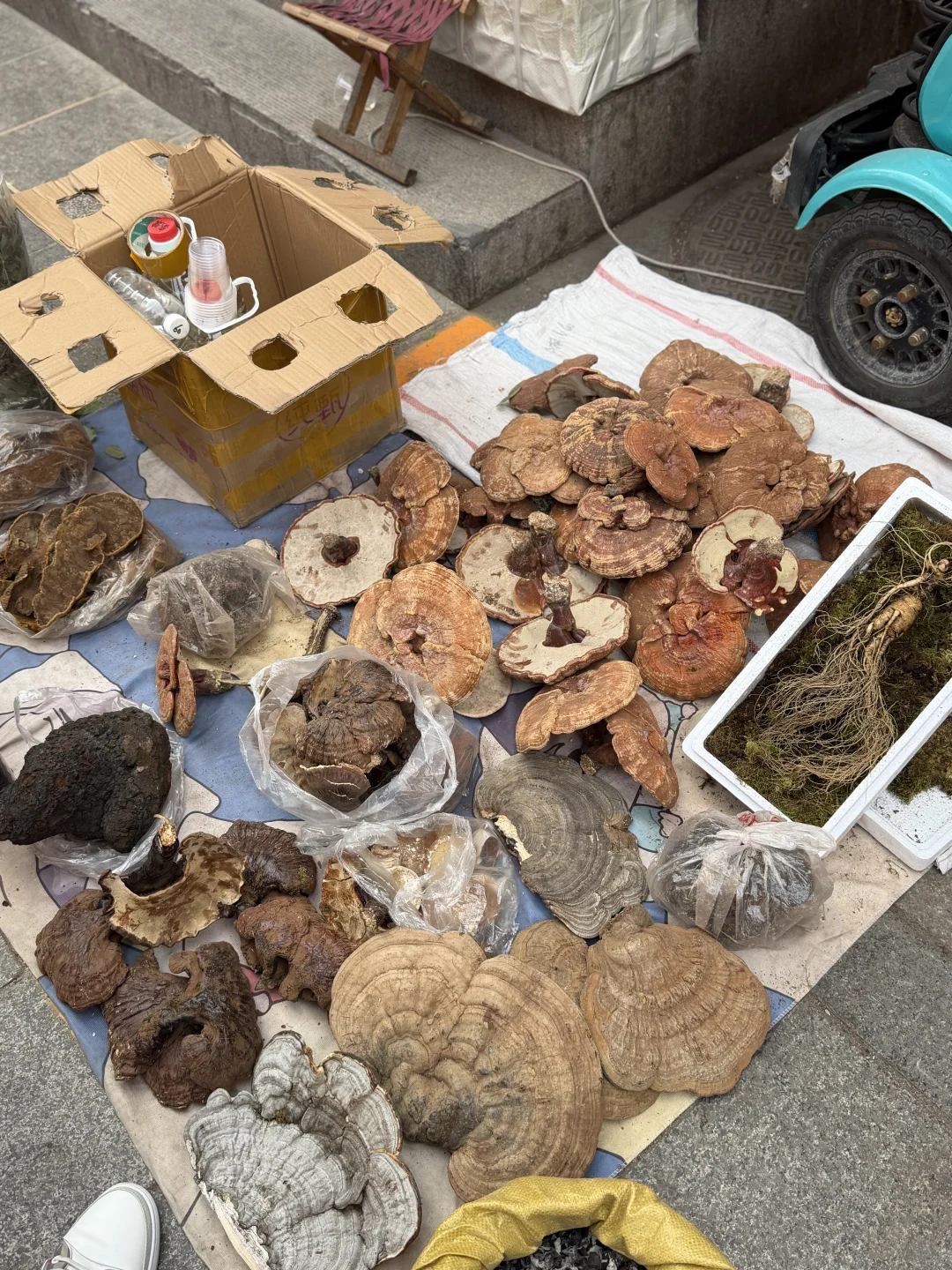 12.6实况！济南英雄山市集有一亿人。。。。。