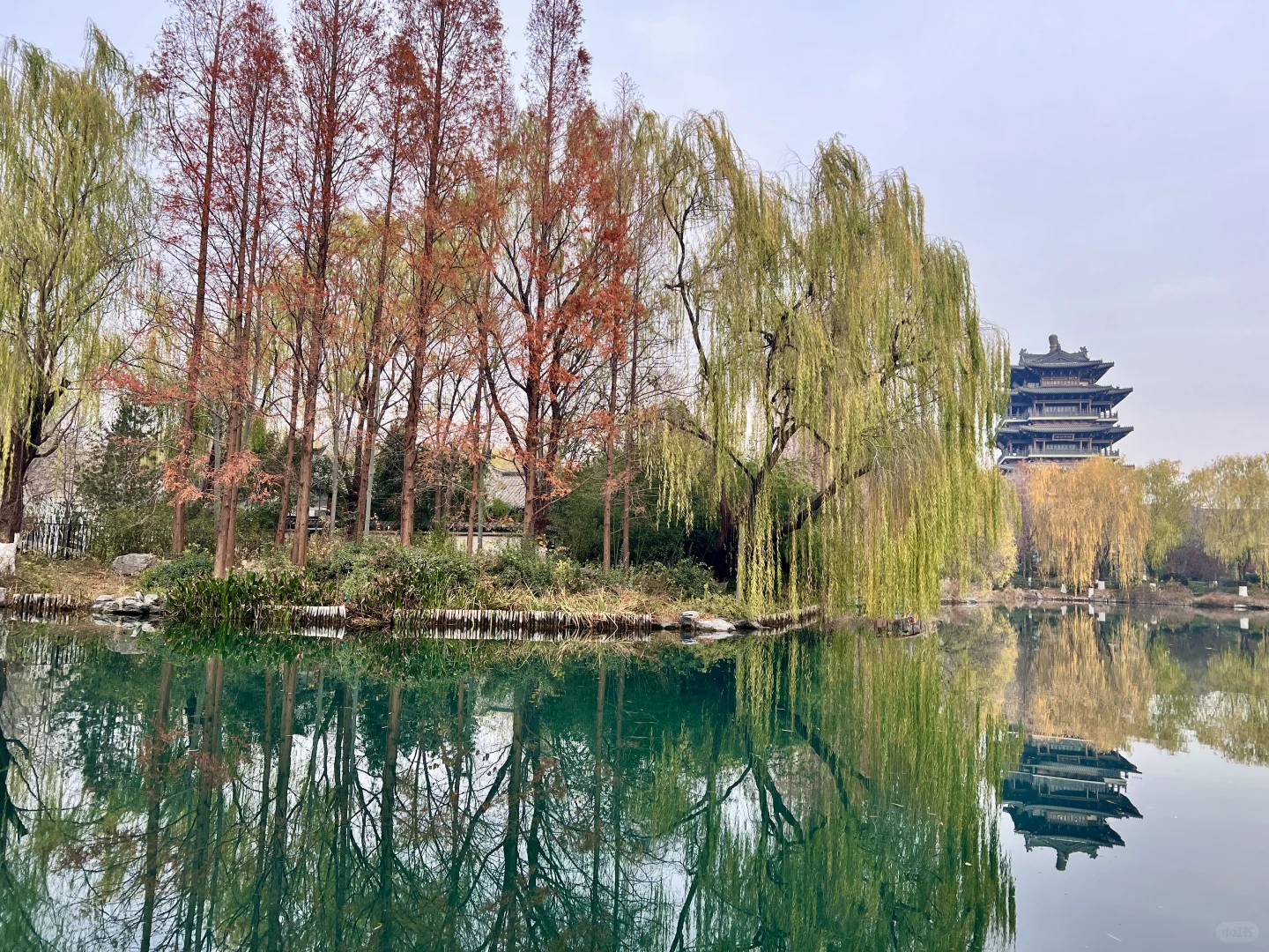 12.7日初冬的绝美大明湖