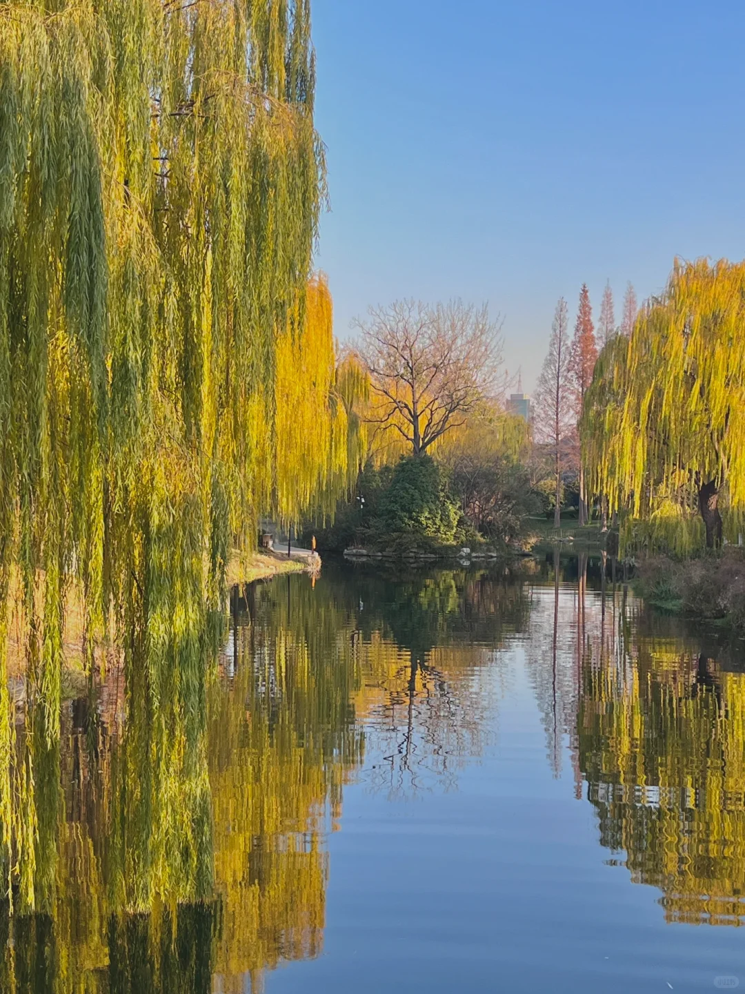 挑战每周末48h逃离郑州———济南站