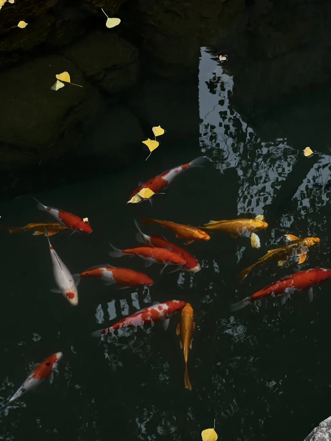 对济南明水古城上魅了🍂