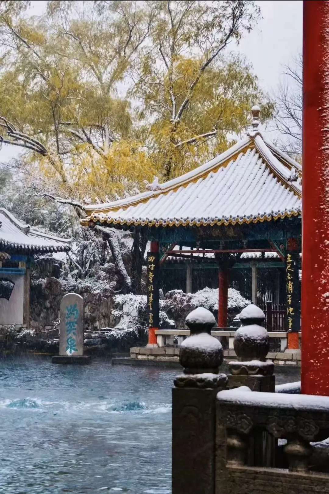 一起去看老舍笔下济南的冬天吧