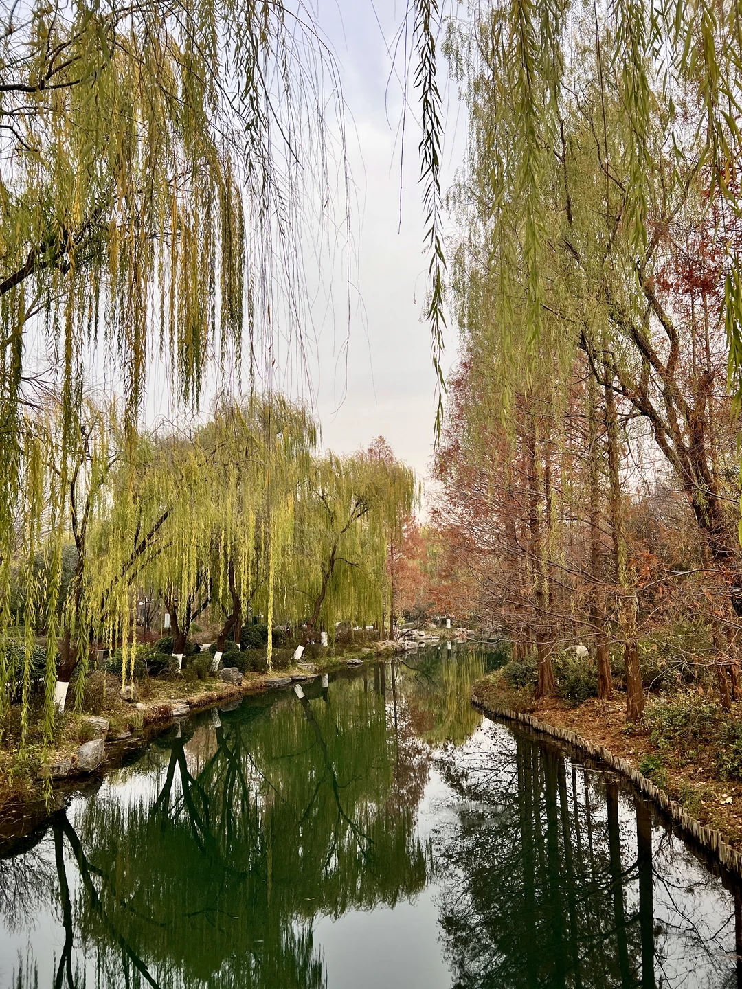 12.7日初冬的绝美大明湖