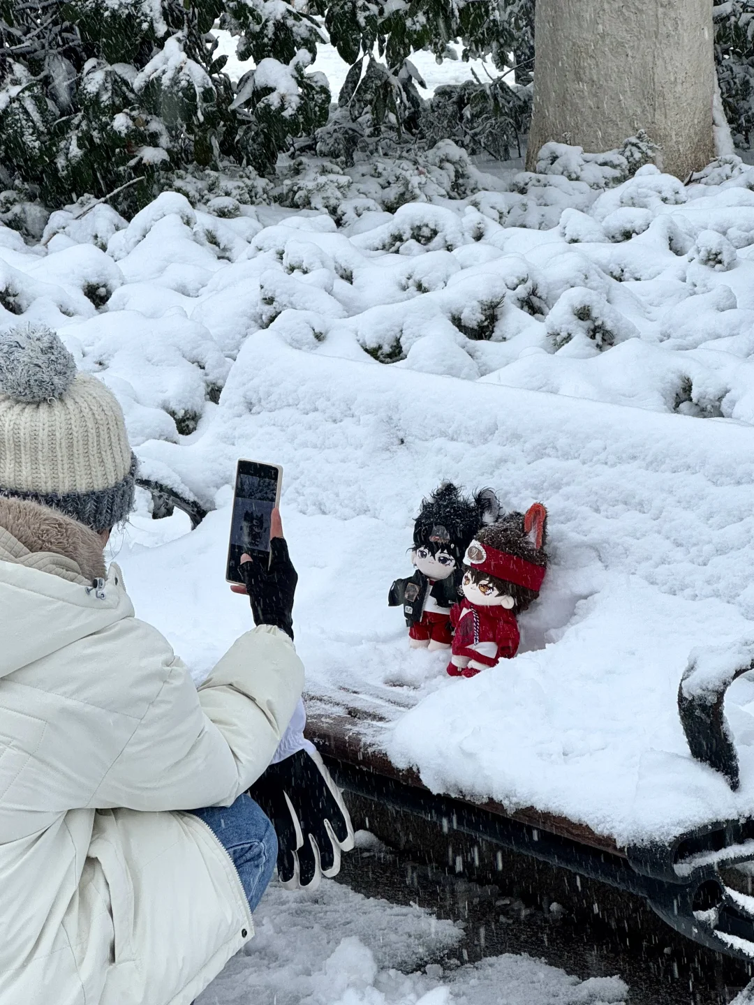 济南降温！！！冬天真的杀疯了！！！！！！（Live图！