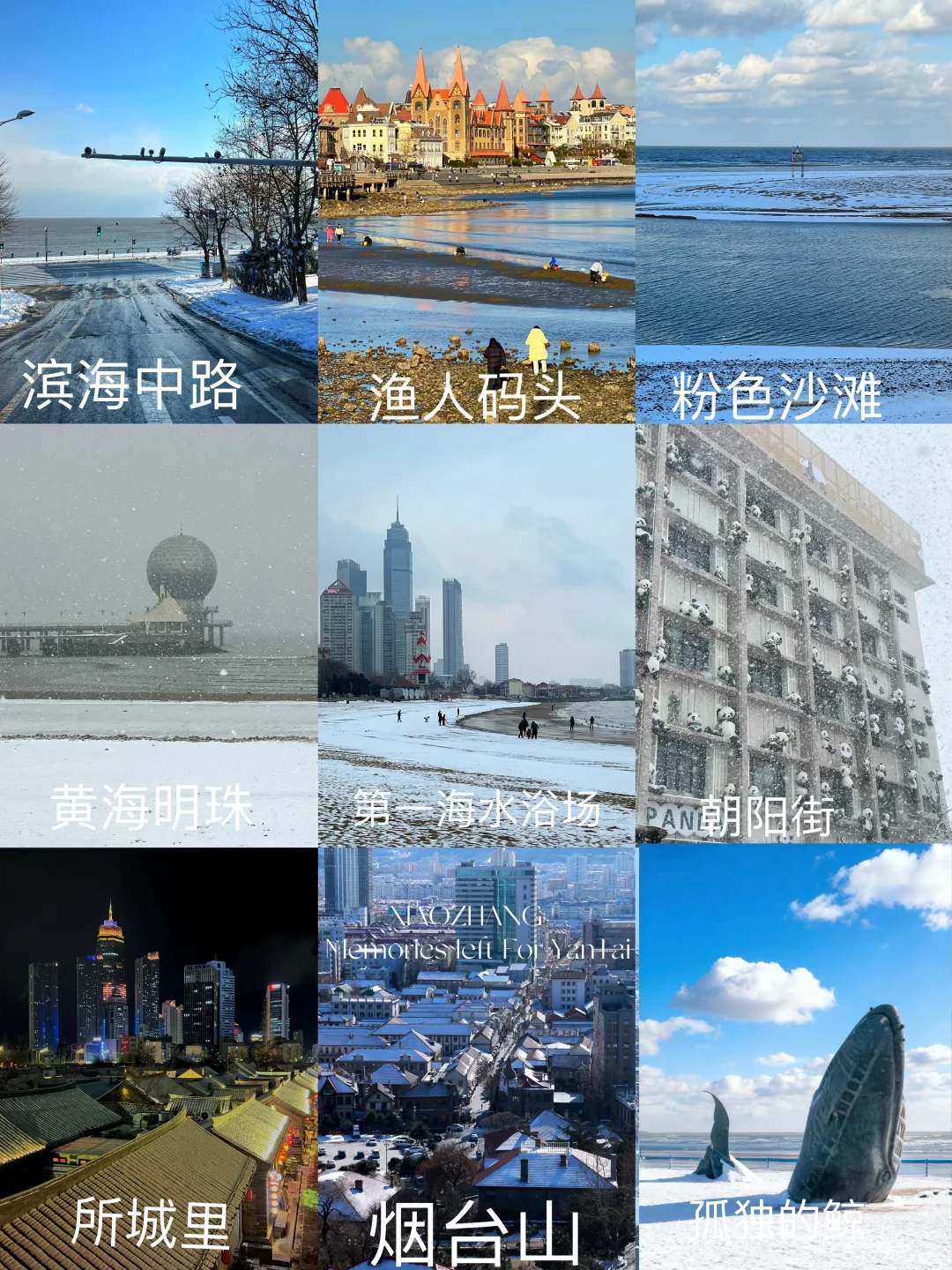 谁懂啊，来烟台看雪最省心的游玩方式！