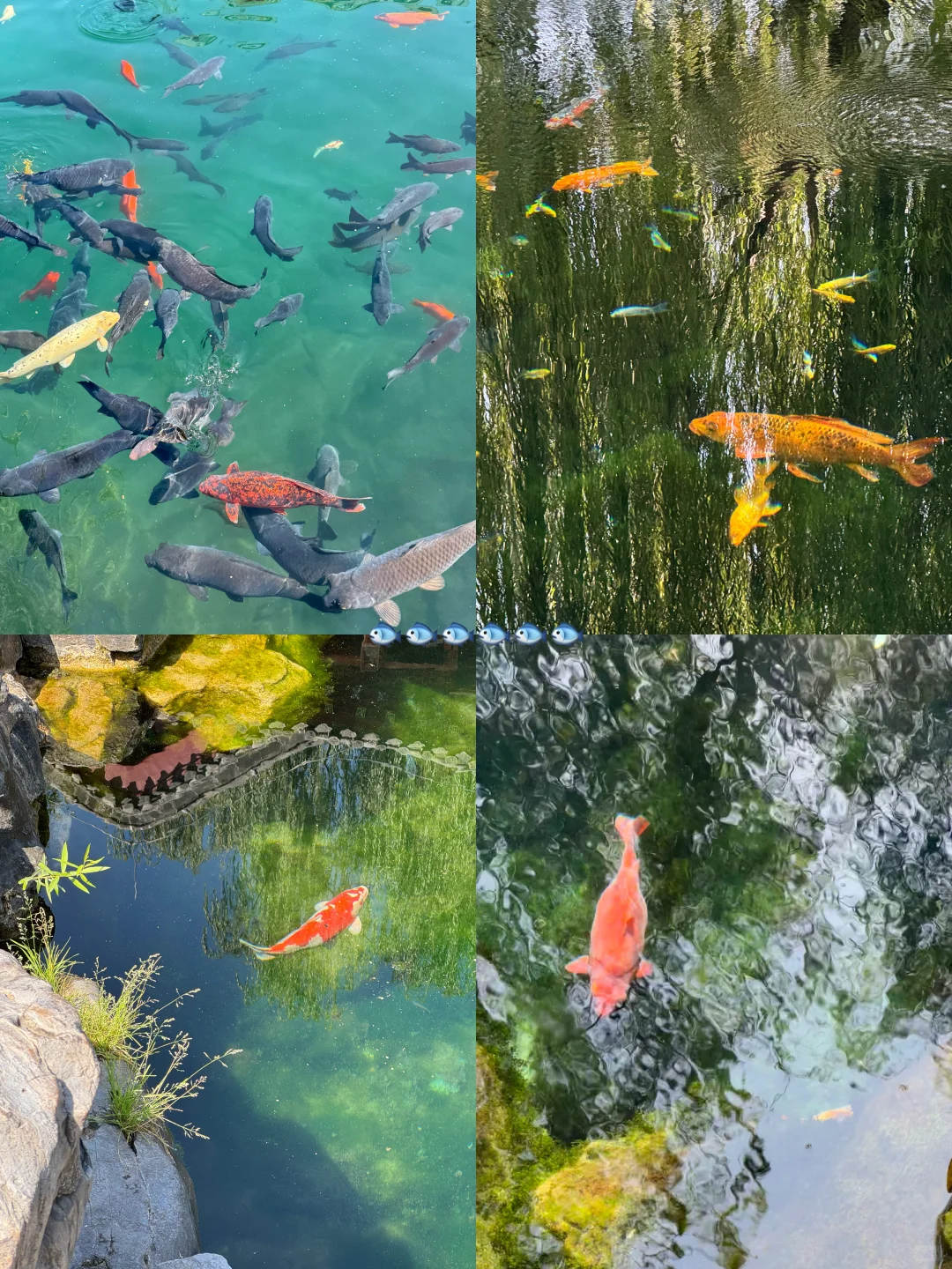 一个人的济南, day2, 花费 165