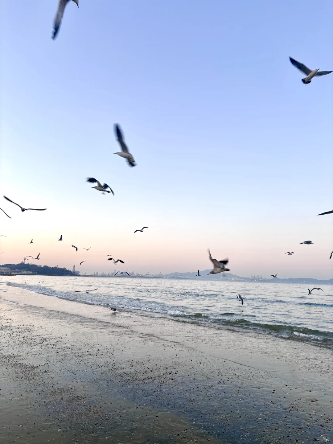 live实况，没人告诉我烟台这么美啊。。。