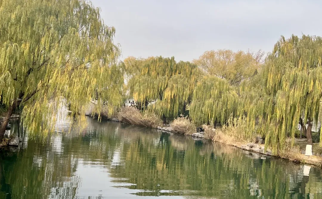 12.7日初冬的绝美大明湖