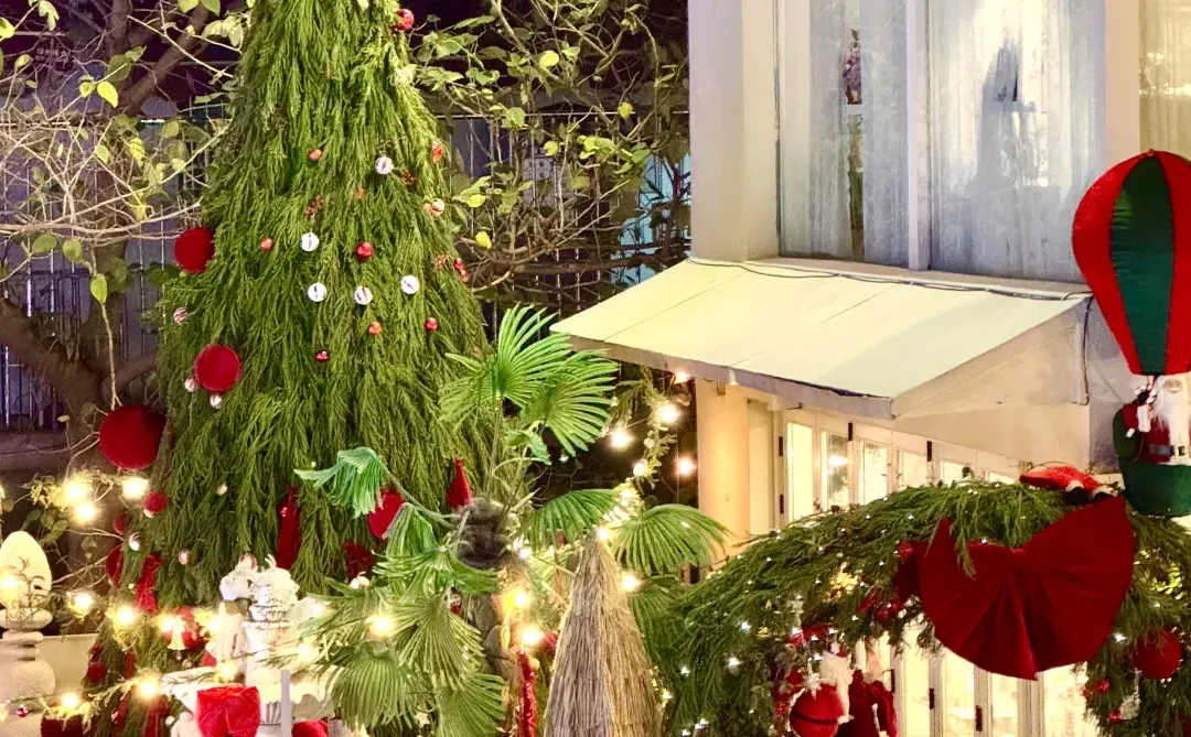 济南❄️可以看雪的咖啡店☕️（18家…）Live实况！