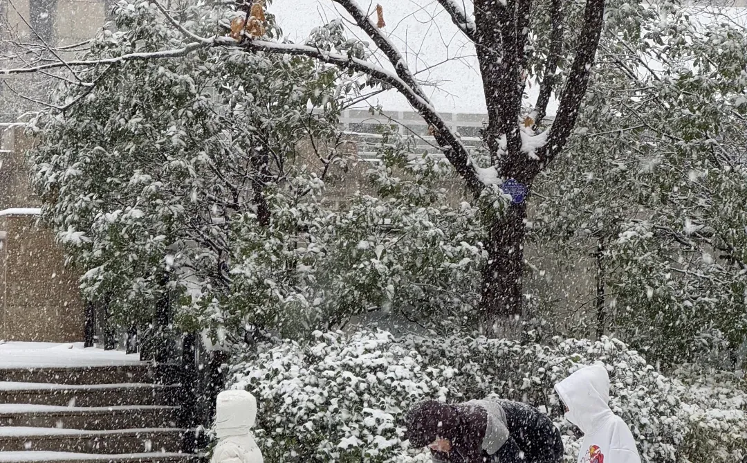 济南降温！！！冬天真的杀疯了！！！！！！（Live图！
