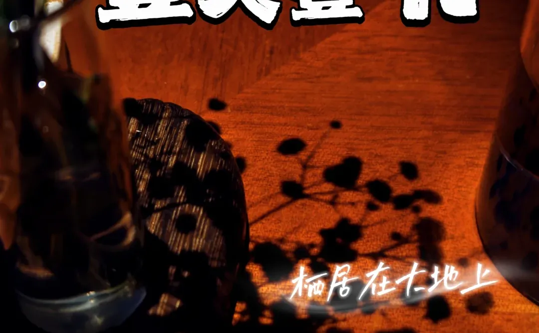 在济南，认真读书，认真聊天～