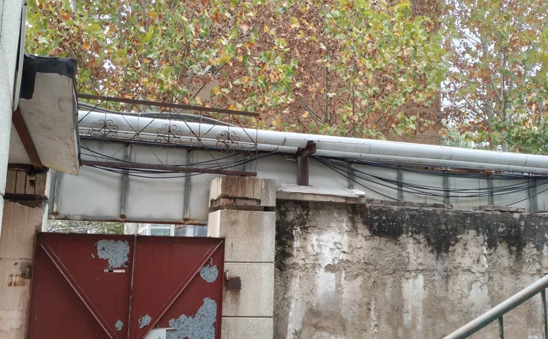 在奥体工作但是热爱济南老城的烟火气怎么办