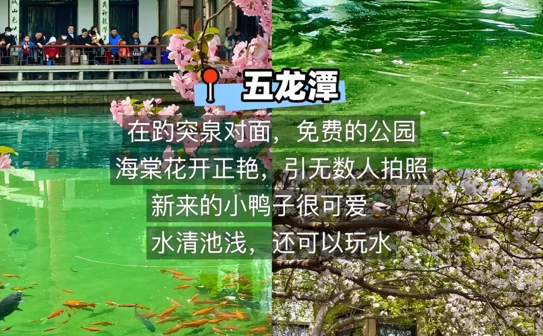 济南、济南的济南是这样写的！