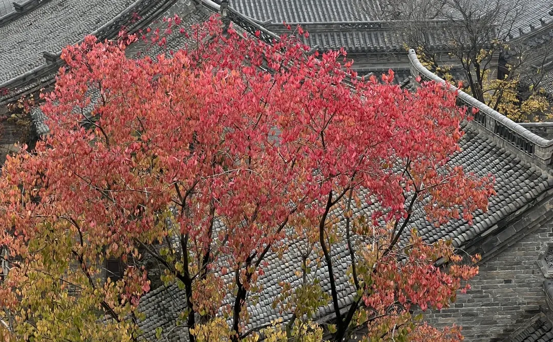 对济南明水古城上魅了🍂