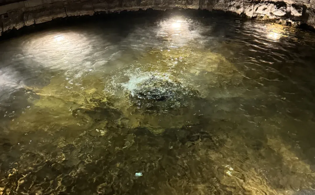 冬天的济南 带给我些许震撼。