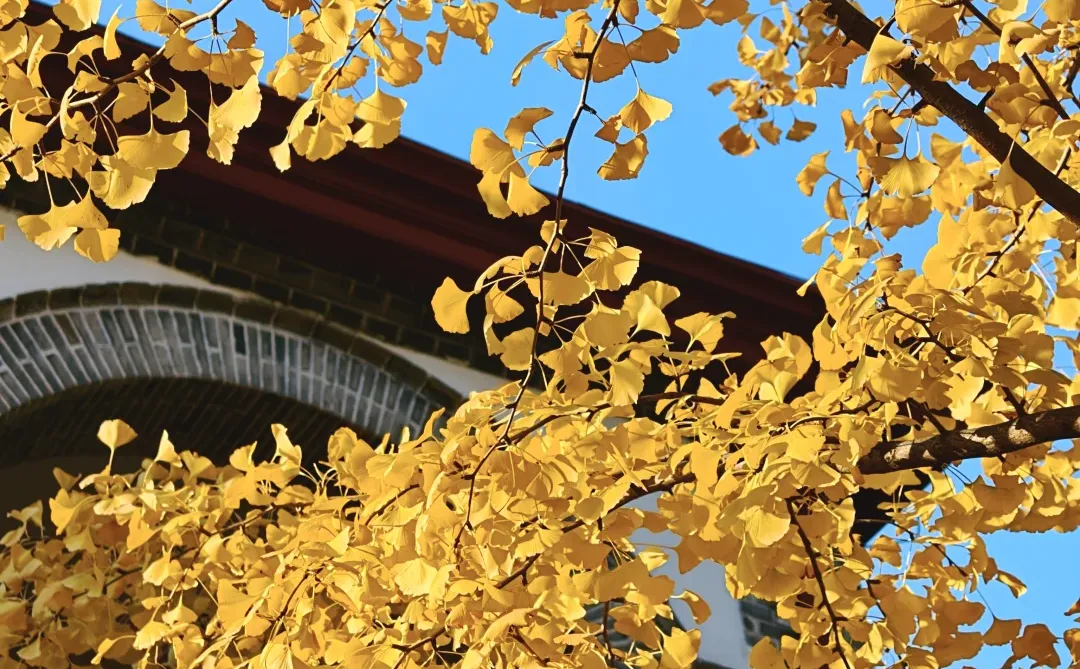 live图，淡季的烟台真是人间理想‼️