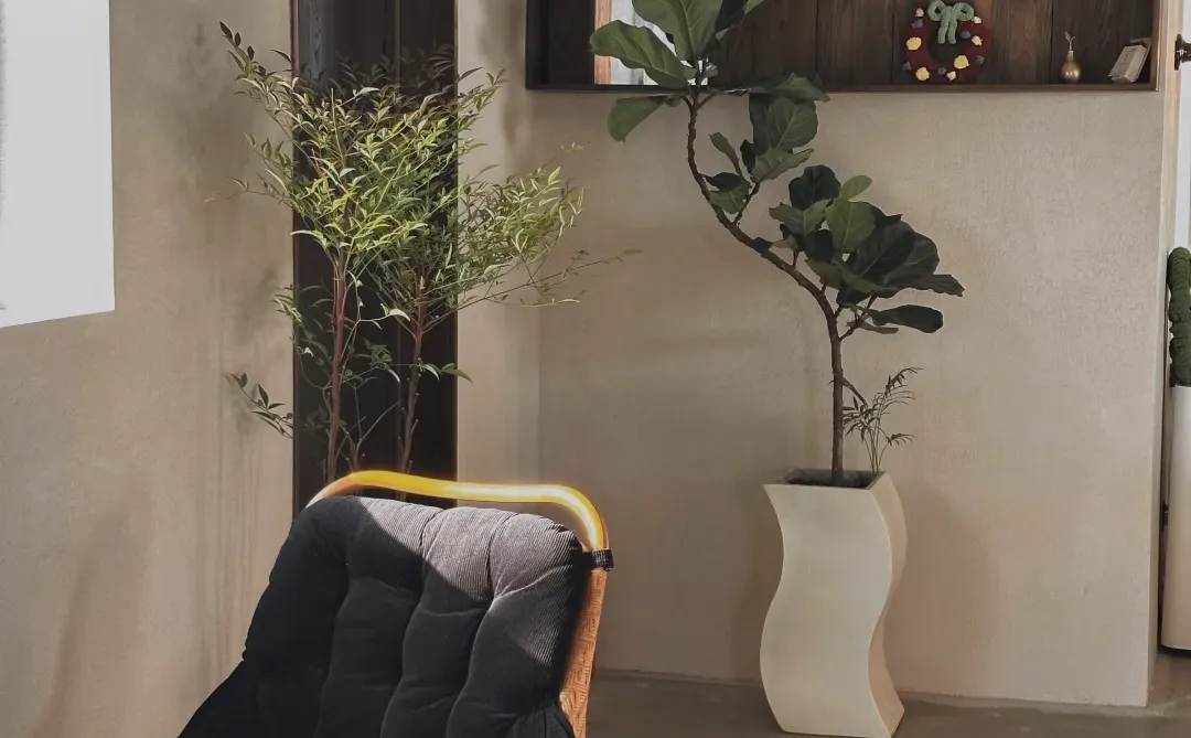 ❤️来烟台15年了，越来越爱这座城