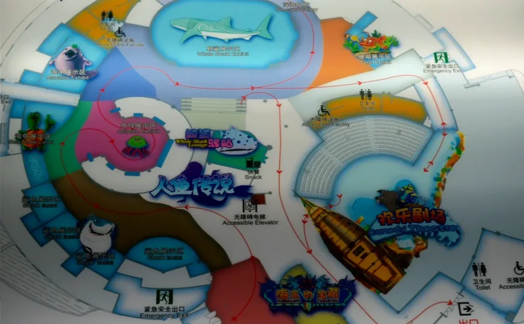带小朋友在烟台海昌鲸鲨海洋公园畅游🐳