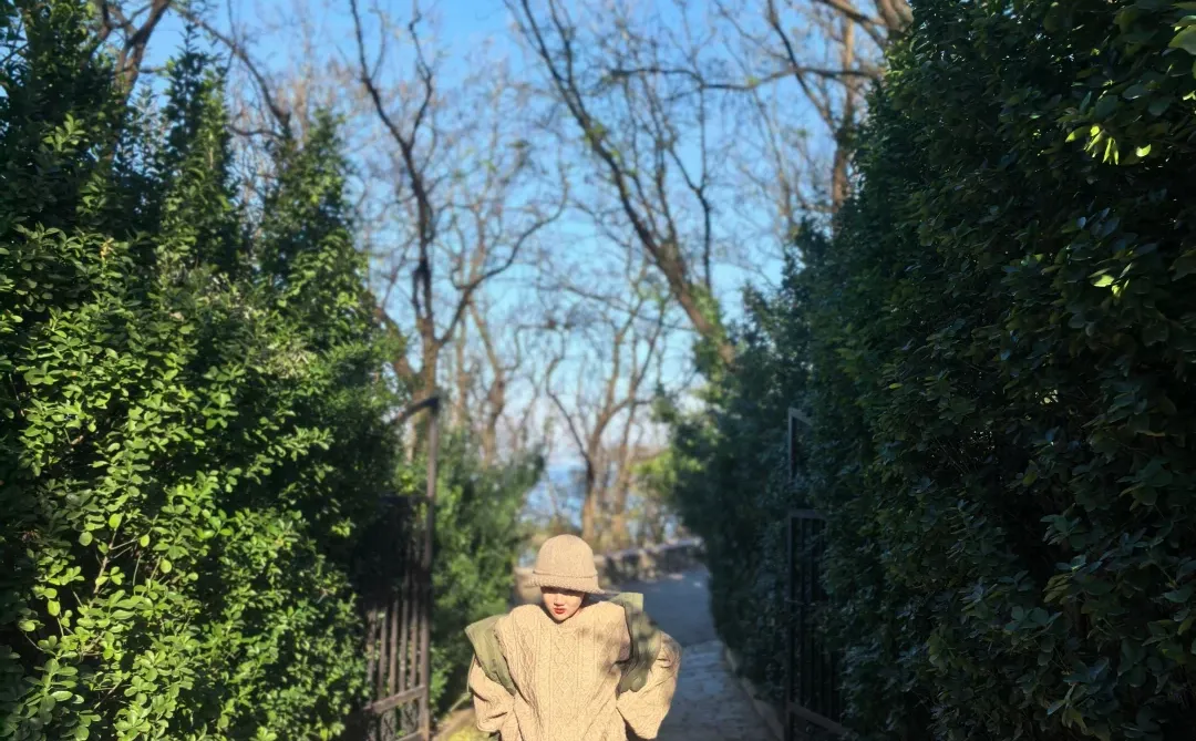 烟台山的鸡爪树