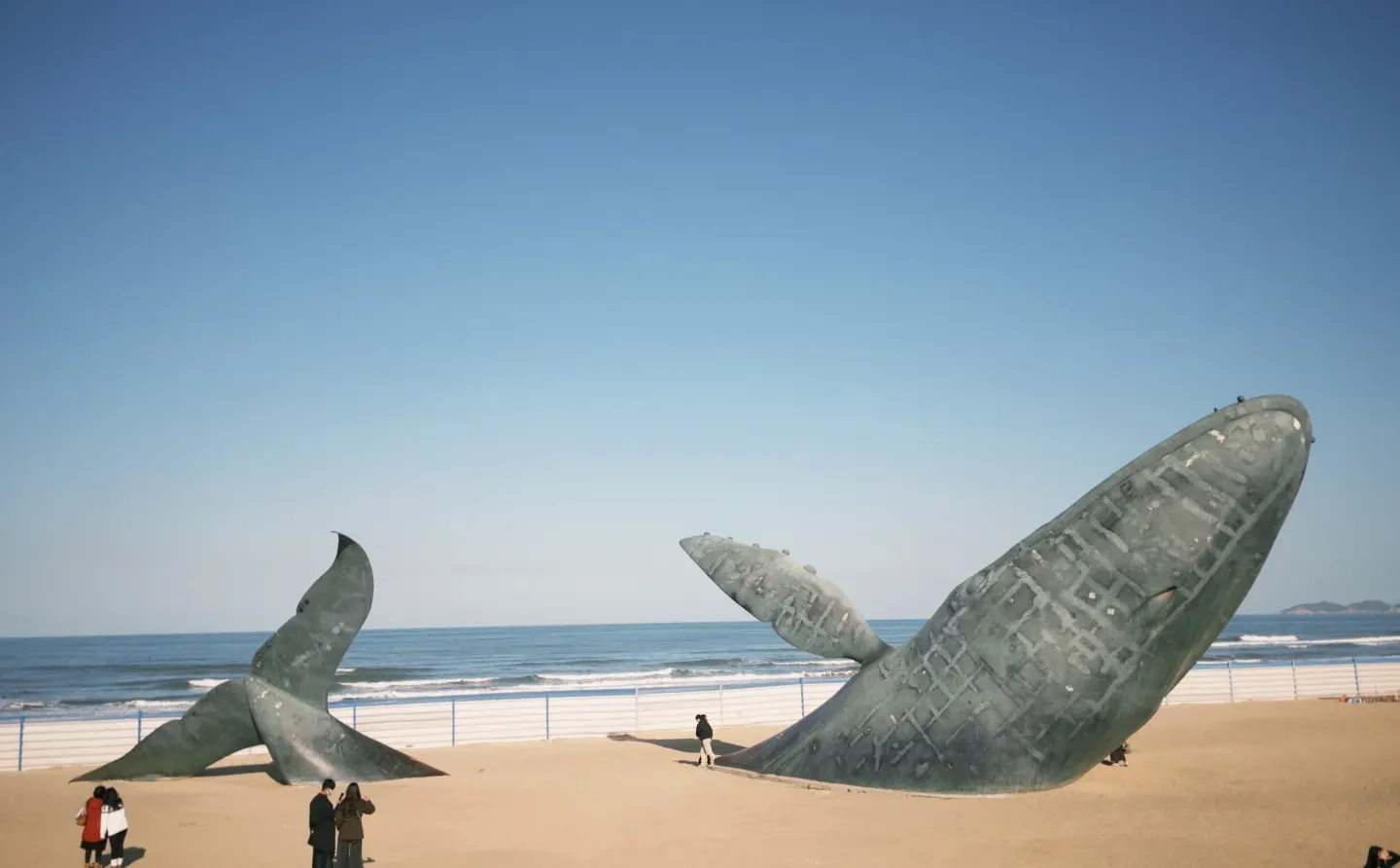 爱上淡季没有人的烟台🌊