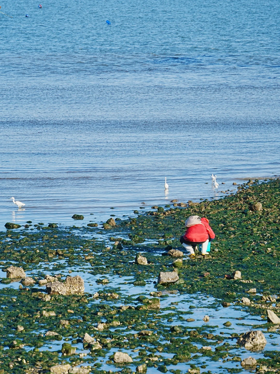 烟台真的很舒服