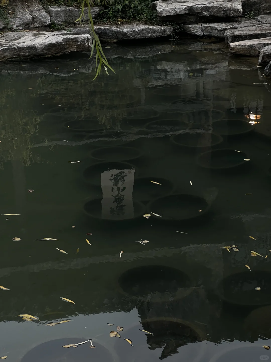 对济南明水古城上魅了🍂