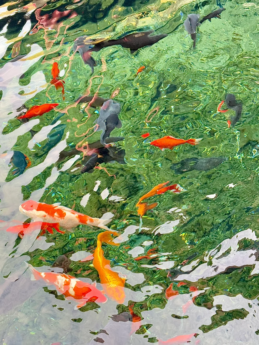 挑战每周末48h逃离郑州———济南站