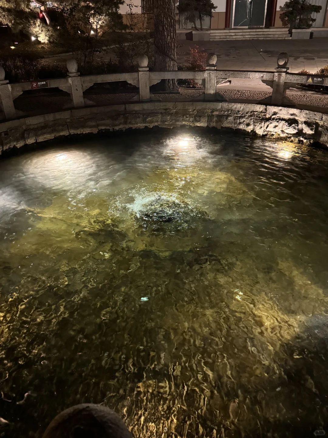 冬天的济南 带给我些许震撼。