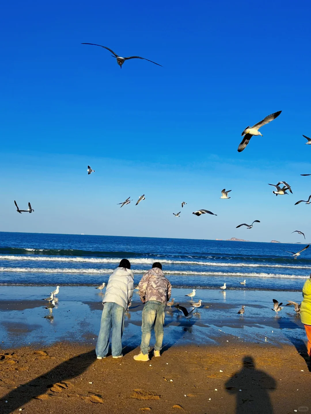 烟台！终于遇到我的理想海边城市